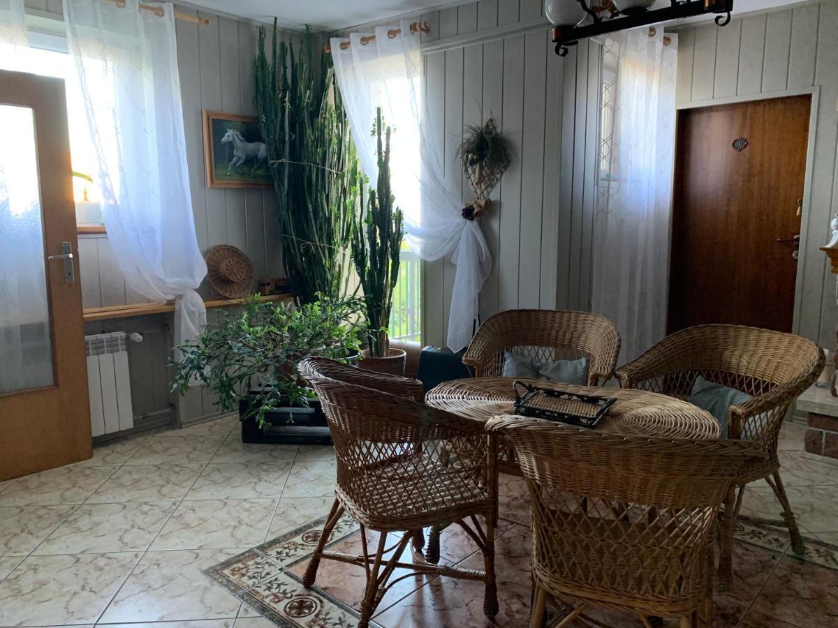 Pokoje Goscinne U Barbary Władysławowo Εξωτερικό φωτογραφία
